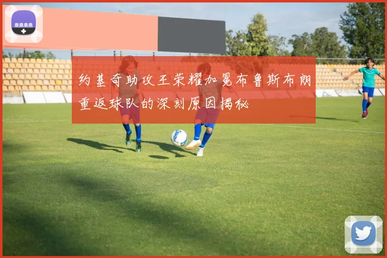 约基奇助攻王荣耀加冕布鲁斯布朗重返球队的深刻原因揭秘