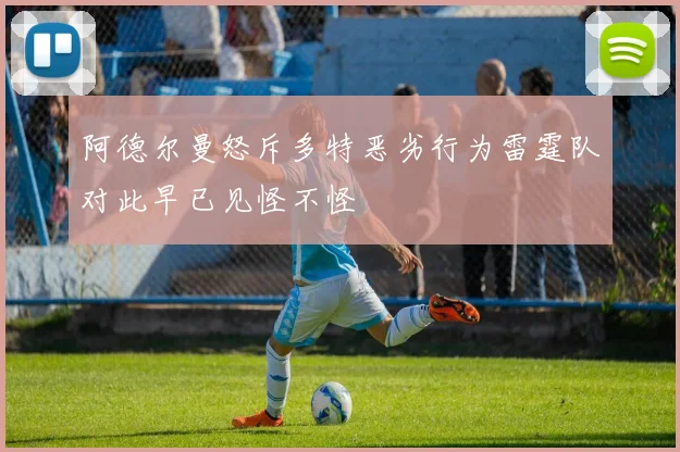 阿德尔曼怒斥多特恶劣行为雷霆队对此早已见怪不怪